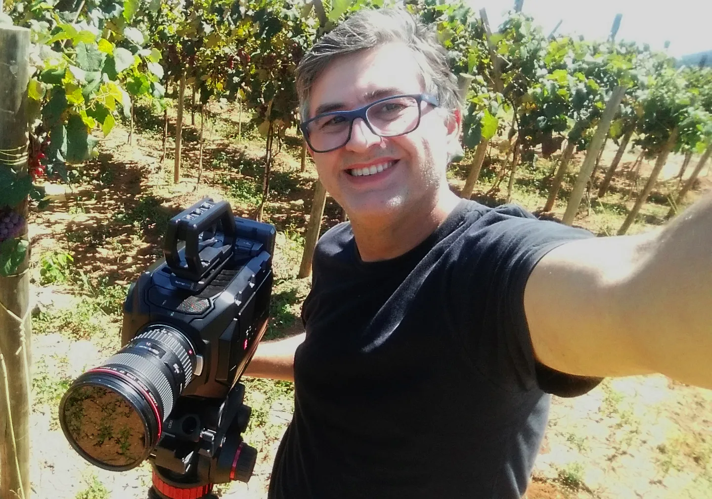 Retrato profissional de Luiz Fernandes