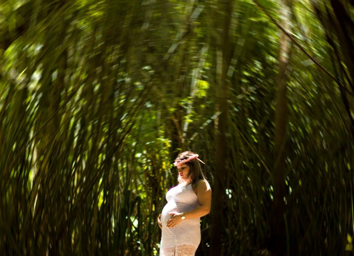Portfólio de LINDSAY FERNANDA NUNES
